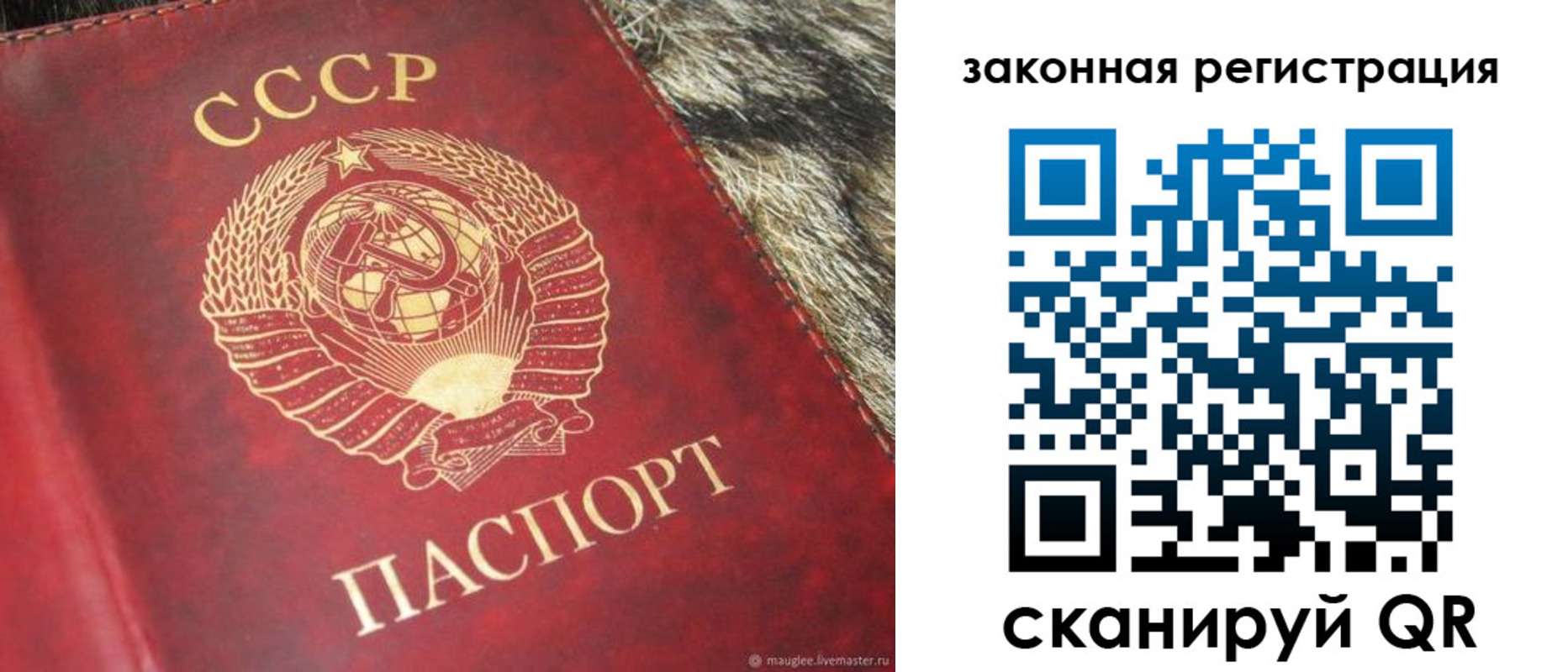 прописка от собственника в Нефтекумске